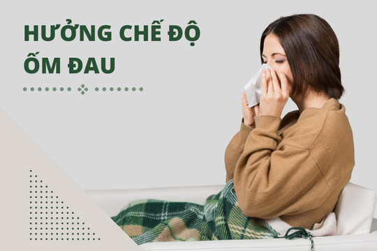 Hồ sơ xét hưởng chế độ ốm đau