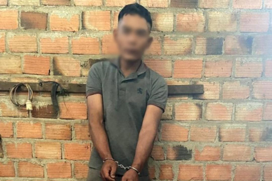 Con trai đánh cha tử vong vì bênh vực mẹ