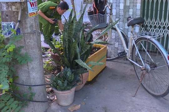 Tử vong dưới trụ điện, nghi do cắt trộm dây