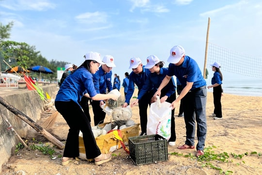 Đoàn thanh niên Cục Biển và Hải đảo Việt Nam: Ra quân làm sạch biển hưởng ứng Tuần lễ biển đảo Việt Nam 2024