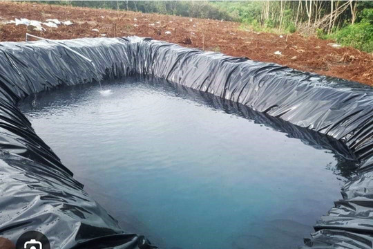 Rủ nhau ra hồ tưới sầu riêng chơi, bé 3 tuổi đuối nước tử vong