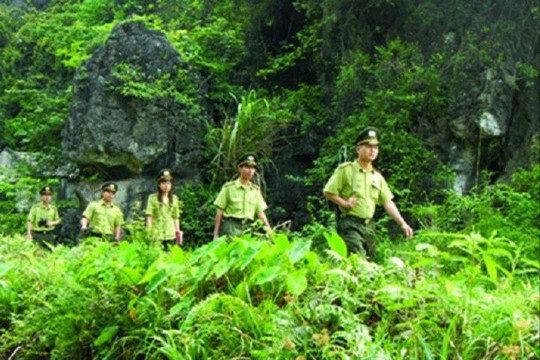 Kiểm lâm Việt Nam: Những người gìn giữ 'lá phổi xanh'