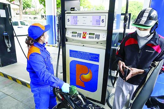 4 doanh nghiệp phân phối xăng dầu bị thu hồi giấy phép kinh doanh