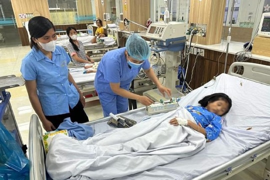 Khách sạn phá tổ ong, 3 mẹ con bị ong đốt phải nhập viện