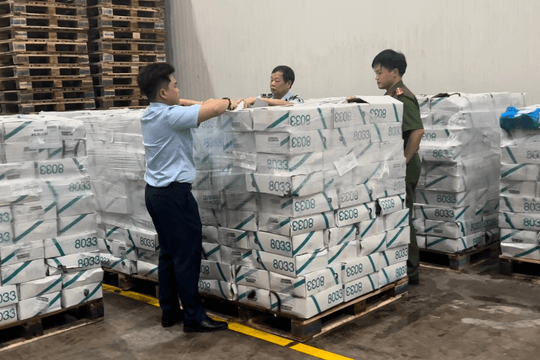 Thu giữ hơn 11 tấn thực phẩm không rõ nguồn gốc xuất xứ