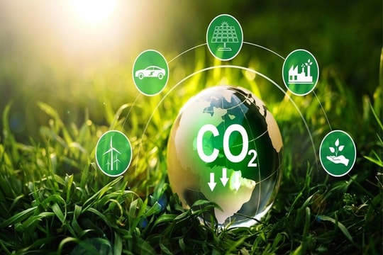 Doanh nghiệp có nhiều cơ hội tham gia thị trường tín chỉ carbon