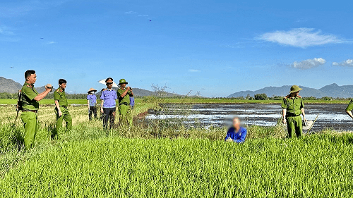 Cảnh báo tai nạn chết người từ việc sử dụng điện bẫy chuột