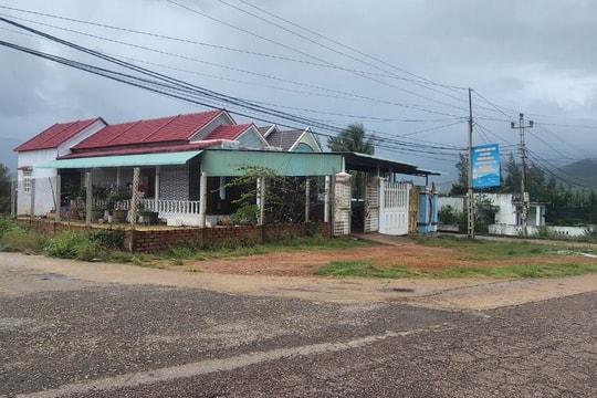 Trưởng phòng Tài nguyên và Môi trường huyện Phù Mỹ bị khởi tố