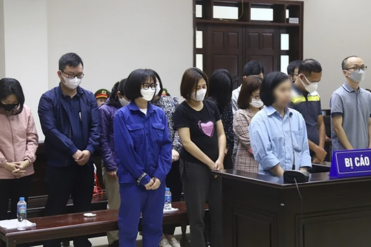 “Siêu lừa” Hà Thành đàm phán mua cổ phần ngay tại phiên tòa như thế nào?