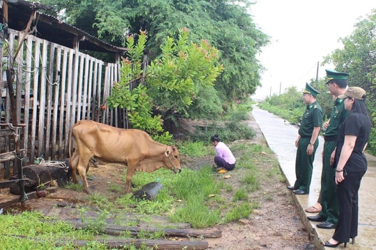 Đắk Lắk: Hội Nông dân và Bộ đội Biên phòng hỗ trợ, giúp đỡ 435 hộ nông dân thoát nghèo