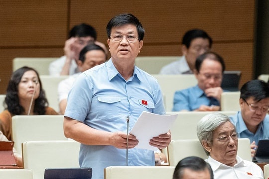 Tòa án chuyên nghiệp cần phải có Tòa án sơ thẩm chuyên biệt