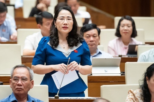 Đại biểu nêu 4 lý do cần thành lập Tòa án sơ thẩm chuyên biệt
