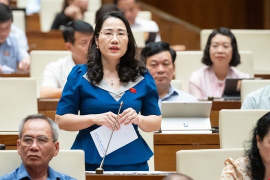 Đại biểu Quốc hội nêu 4 lý do cần thành lập Tòa án sơ thẩm chuyên biệt