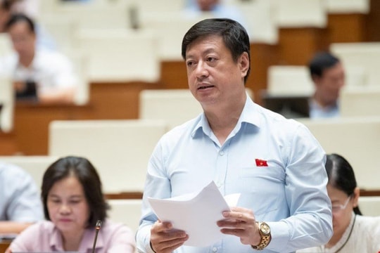 Tòa án chuyên biệt giải quyết các vụ án đặc thù và không phát sinh thêm biên chế