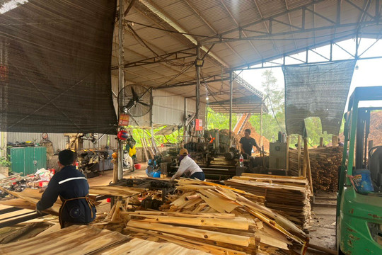 Như Thanh (Thanh Hóa): Cần tạo điều kiện cho doanh nghiệp chế biến gỗ duy trì phát triển