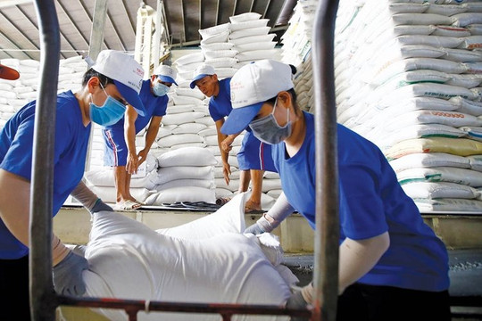 Cấp gạo cho 5 địa phương dịp giáp hạt