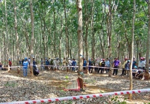 Đồng Nai: Người đàn ông tử vong trong tư thế treo cổ tại lô cao su