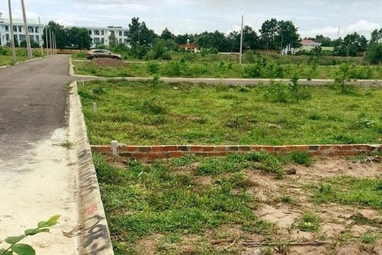 Chuyển mục đích sử dụng đất để thực hiện dự án Cụm công nghiệp Đông Quang