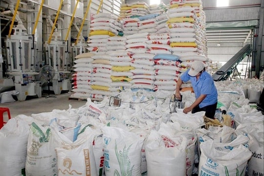 Xuất cấp hơn 1.000 tấn gạo cho 5 địa phương dịp giáp hạt 2024