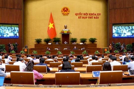 Truyền hình Tòa án nhân dân: Số 56