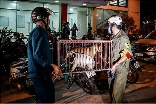 Kiểm soát bệnh lây truyền từ động vật sang người