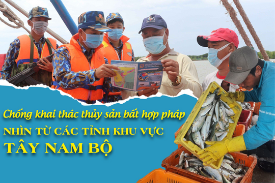 Chống khai thác thủy sản bất hợp pháp: Nhìn từ các tỉnh khu vực Tây Nam Bộ - Bài 2: Chống đánh bắt hải sản bất hợp pháp không chỉ để gỡ “thẻ vàng”