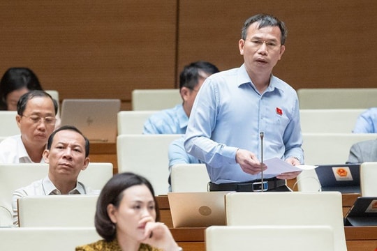 Quy định "dao có tính sát thương cao" cần phù hợp với thực tế