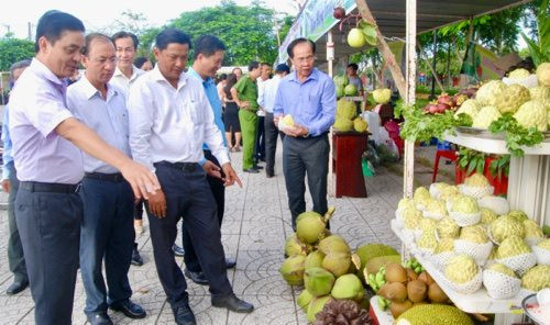 Sắp diễn ra Hội chợ trái cây nhà nông Phong Điền lần thứ III, năm 2024