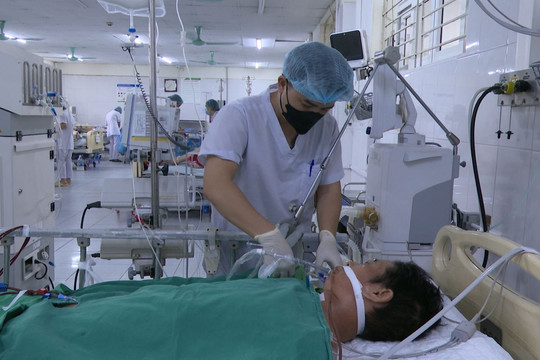 Sốc nhiễm khuẩn, suy đa tạng do ăn thịt lợn chết