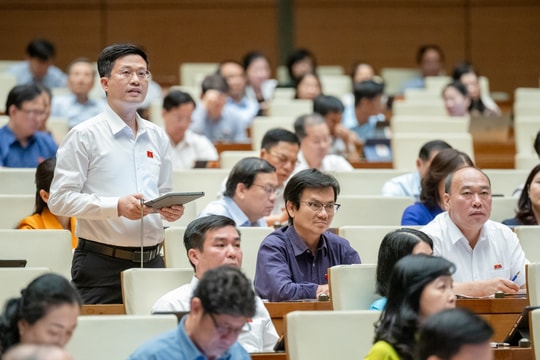 ĐBQH truy trách nhiệm những phiên livestream bán hàng cả trăm tỷ/ngày