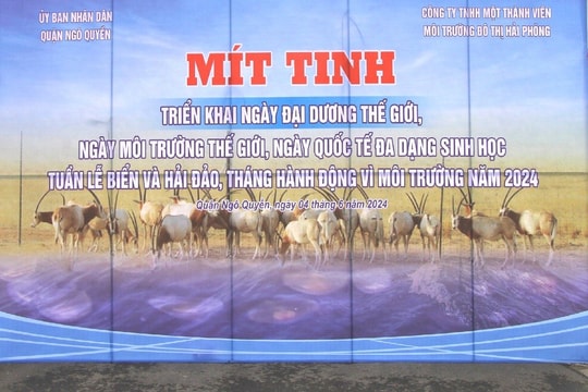 Hải Phòng: Hưởng ứng Ngày Môi trường, Ngày Đại dương thế giới