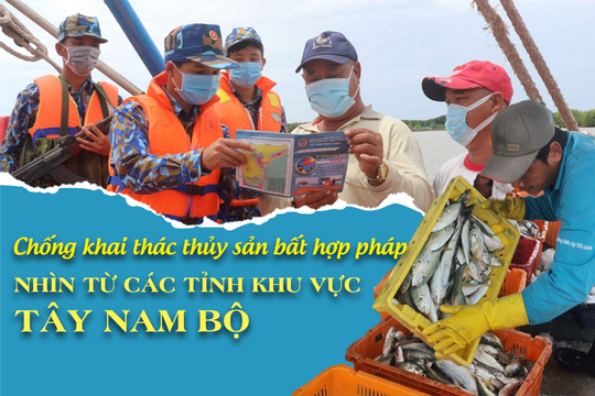 Chống khai thác thủy sản bất hợp pháp: Nhìn từ các tỉnh khu vực Tây Nam Bộ - Bài 3: Nỗ lực gỡ “thẻ vàng”của các địa phương khu vực Tây Nam Bộ