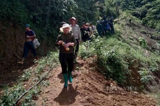 Người phụ nữ Hòa Bình đi lạc hơn 30km trong rừng sâu