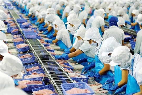 Xuất khẩu thủy sản tăng 6,5% trong 5 tháng