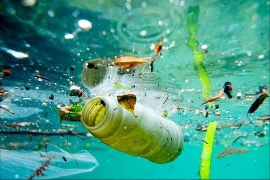 Ngày Môi trường thế giới: Lan tỏa thông điệp về môi trường