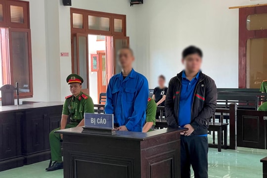Làm giả con dấu, tài liệu, hai cậu cháu cùng lĩnh án