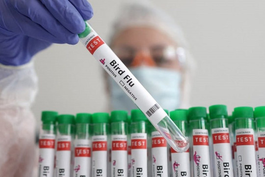 WHO: Ca tử vong đầu tiên do cúm gia cầm A/H5N2