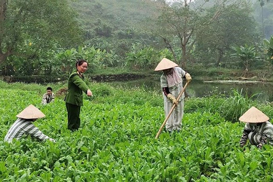 Đồng Nai: Hỗ trợ người chấp hành xong án phạt tù tái hòa nhập cộng đồng
