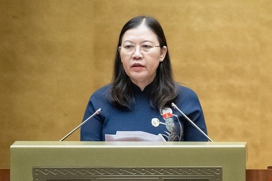 Ủy ban Tư pháp tán thành những nội dung quan trọng của dự thảo Luật Tư pháp người chưa thành niên