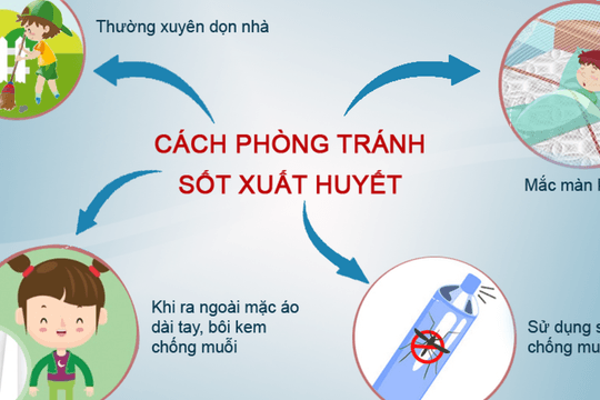 Sốt xuất huyết diễn biến phức tạp, Hà Nội triển khai các biện pháp phòng, chống
