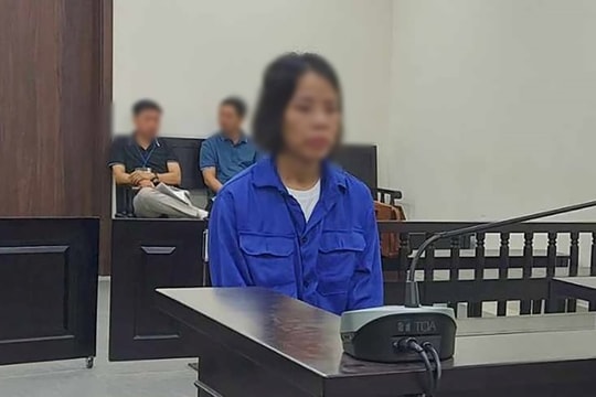 Nữ giám đốc đưa thông tin gian dối để lừa đảo