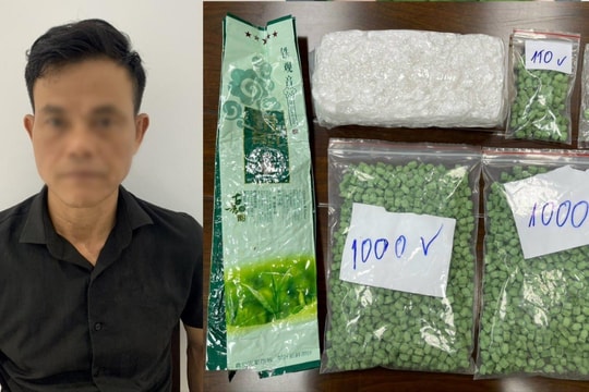 Vận chuyển thuê số lượng lớn ma túy để lấy 20 triệu đồng