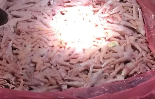 Thu giữ gần 25 tấn chân gà đông lạnh không rõ nguồn gốc tại Móng Cái