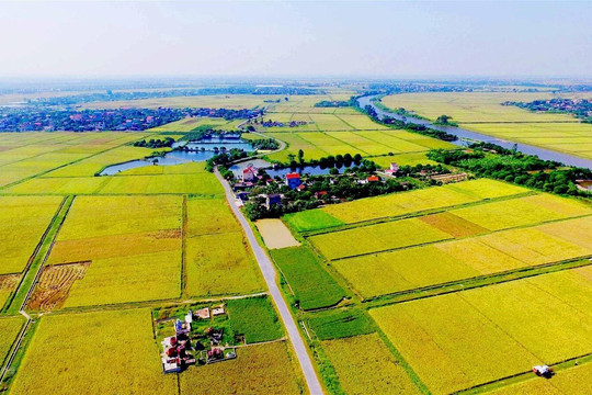 Điều kiện chuyển đất nông nghiệp thành đất ở