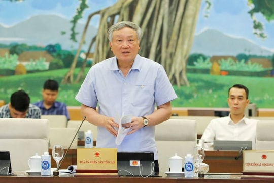 Chánh án Nguyễn Hòa Bình tán thành tách vụ án có trẻ em ra giải quyết độc lập