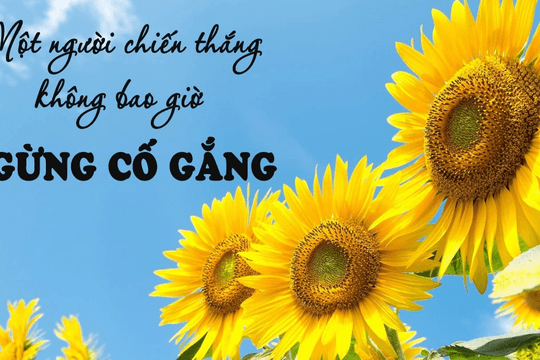 Cảm ơn con… vì đã cố gắng!