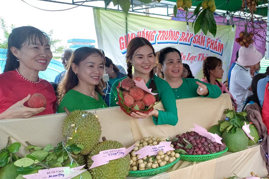 Sóc Trăng: Đặc sắc Lễ hội sông nước miệt vườn năm 2024