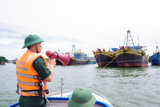 Bình Thuận tập trung cao điểm chống khai thác IUU