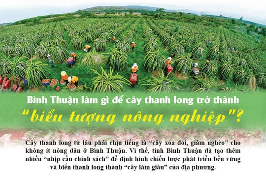 Bài 3: Chuỗi giá trị thanh long đã thành hình