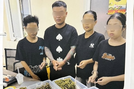 Triệt phá ổ nhóm mua bán ma túy , thu giữ hơn 10 kg cần sa